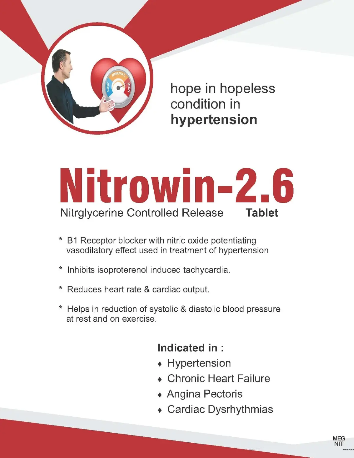 NitroWin screenshot